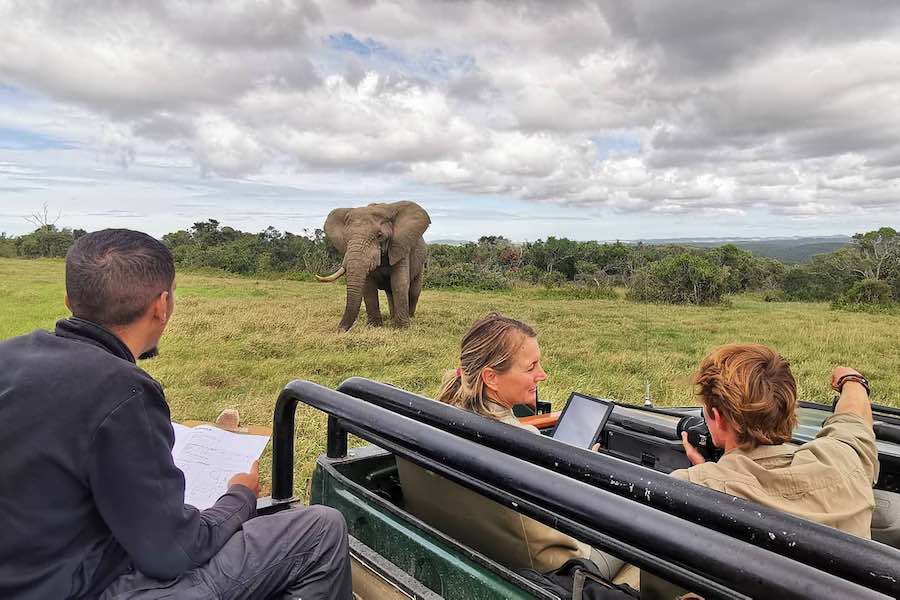 Kariega Game Reserve