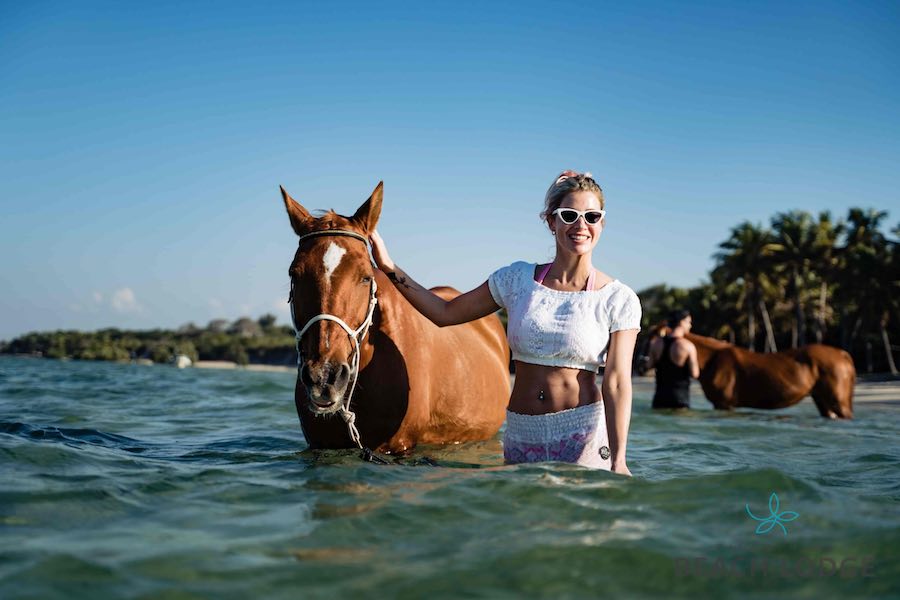 Mozambique Horse Safari