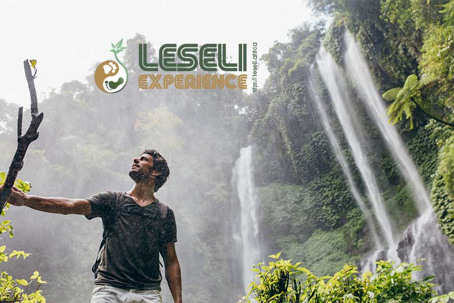 LESELI Experience