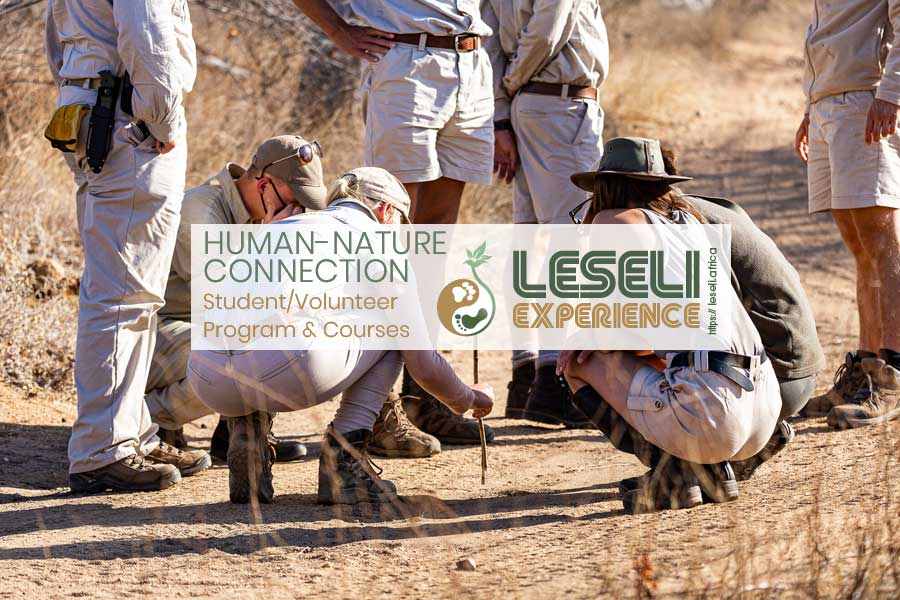 LESELI Experience